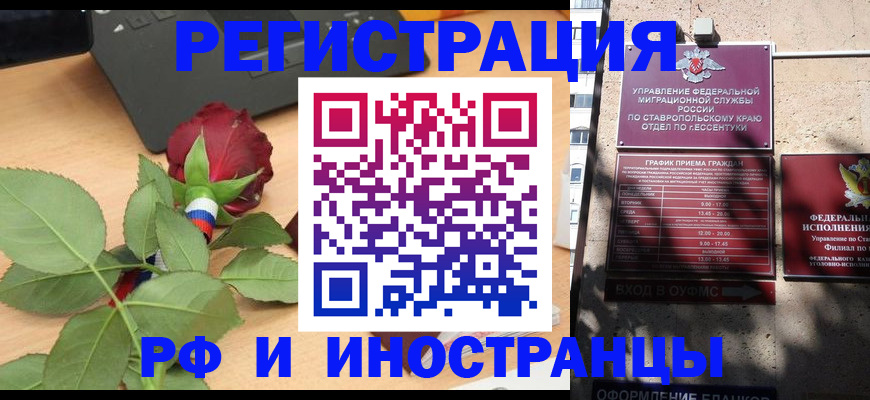 найти адрес прописки в Чудово